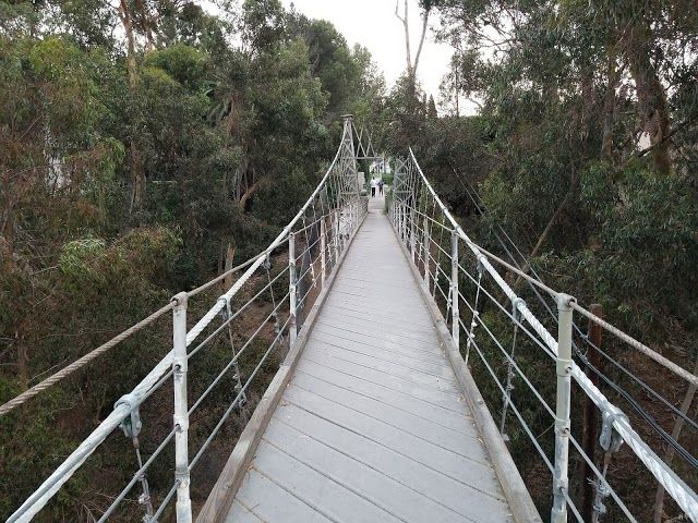 Spruce Street Suspension Bridge